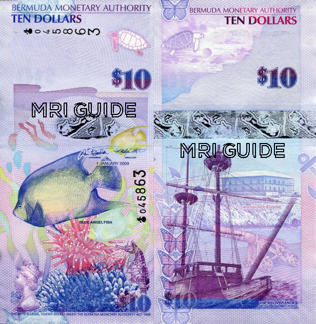 Bermuda Currency 