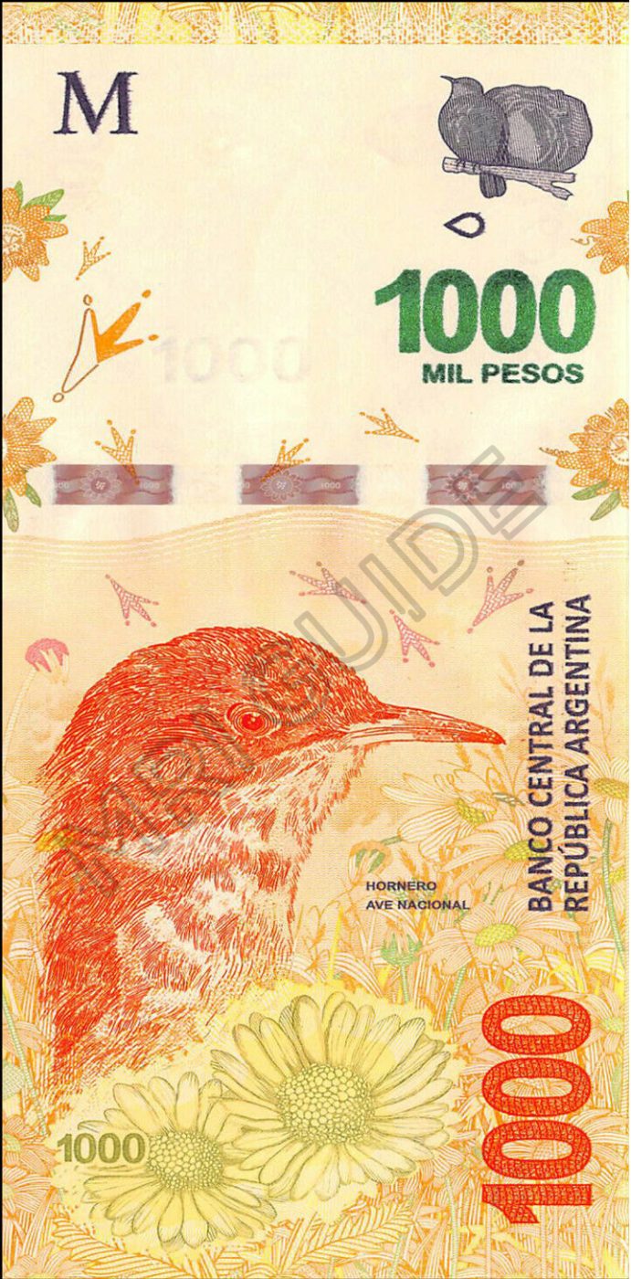 Argentina Banknotes Of 2 000 And 20 000 Pesos Are Being Proposed   Ars 1000 FR 